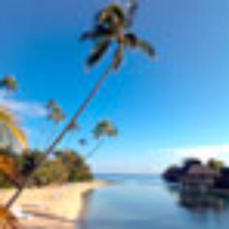 JinPai DingDing Xiang